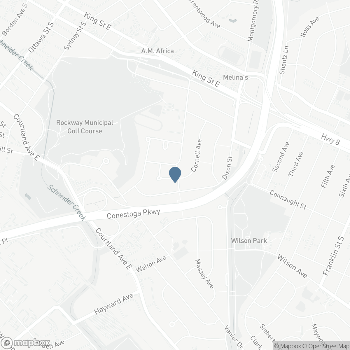 133 CORNELL Avenue, Kitchener, Ontario N2G 3E5